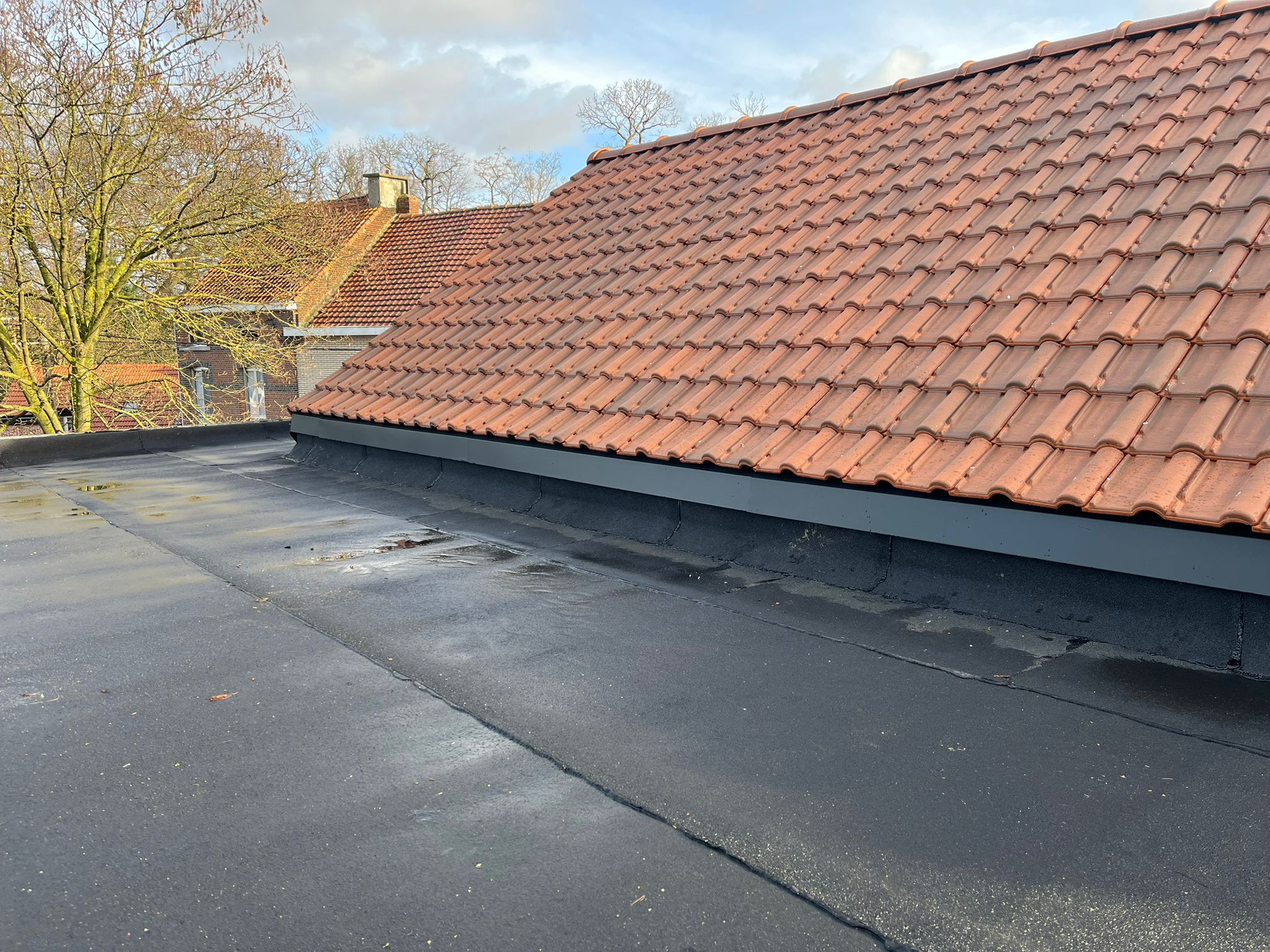 Réalisation toiture 21